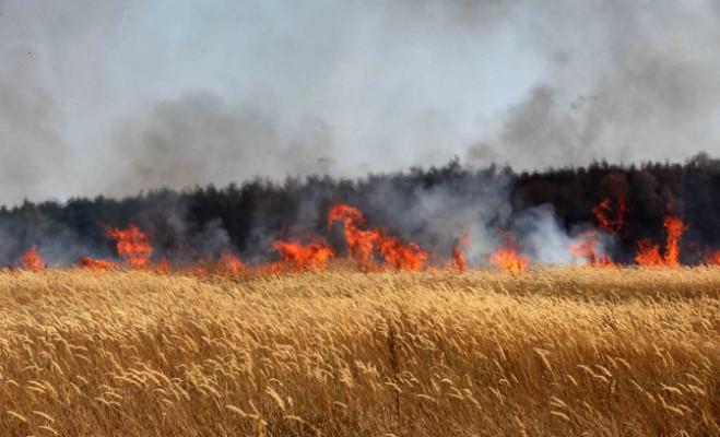 Lågor ses på ett fält i utkanten av Voronezh, centrala Ryssland, den 31 juli 2010. Bränder härjar över hela centrala Ryssland under den värsta värmeböljan på decennier, och sätter tusentals hektar åkermark i brand. (Foto: Alexey Sazonov/AFP Photo) 