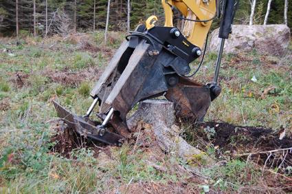 Stubbarna står ofta kvar när skogen huggits, men kan bli till biobränsle om de tas tillvara. (Foto: slu.se)