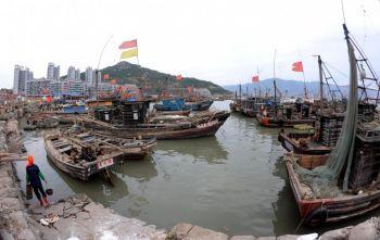 Liknande scener som den här kan ses i Sydkinesiska sjön. Fiskebåtar ligger förtöjda i en hamn i Lianyungang i Kinas Jiangsuprovins den 29 maj. (Foto: ChinaFotoPress/Getty Images)
