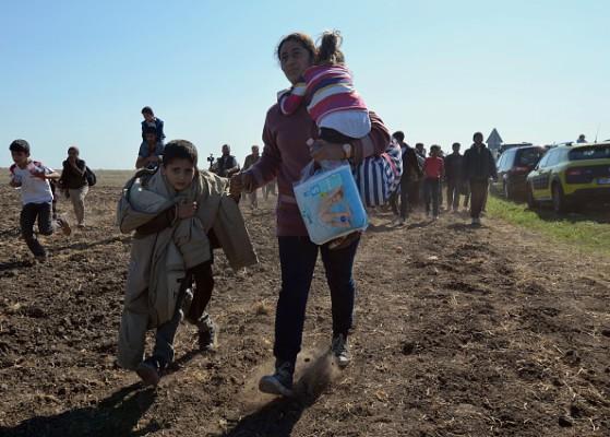 Några hundra desperata flyktingar bröt igenom polisavspärrningarna vid uppsamlingsplatsen i den lilla ungerska staden Röszke. FN:s flyktingorgan UNHCR oroas över Ungerns dåliga flyktingorganisation. Foto: Csaba Segesvari/Getty Image