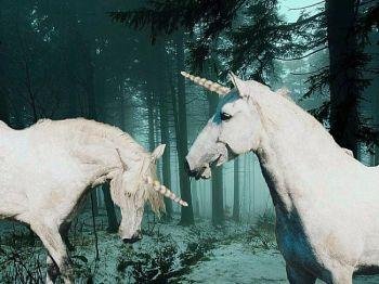 Enhörningen avbildas vanligen som ett vitt, ädelt och stolt djur med horn, i besittning av magiska förmågor. (Foto: SarahC/www.pixelio.de)