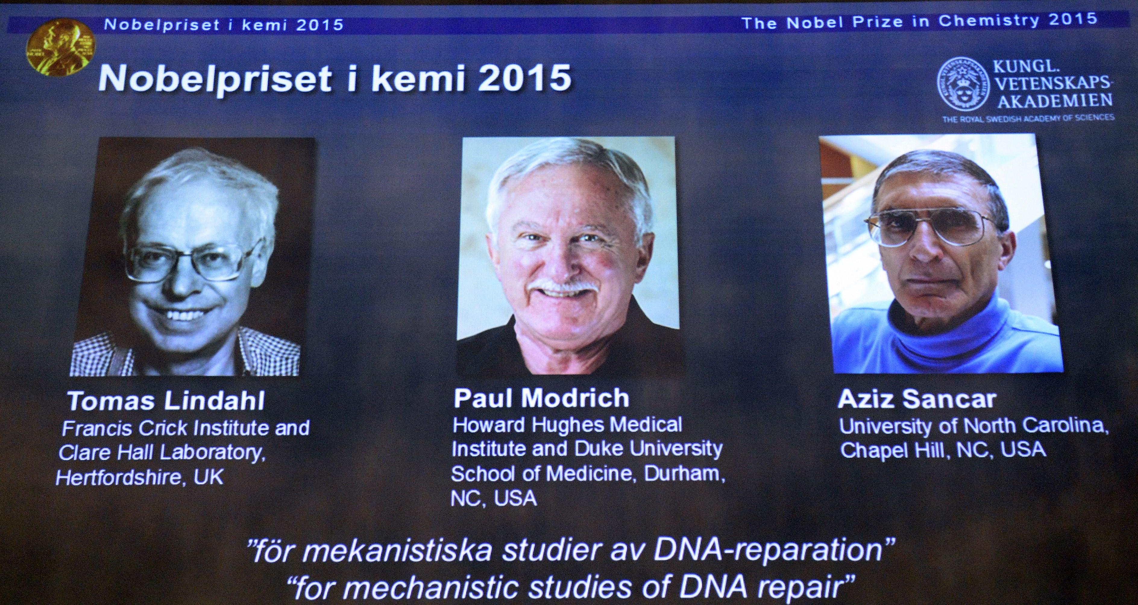Porträtten av årets Nobelpristagare i kemi, Tomas Lindahl, Paul Modrich och Azis Sandar. (Foto: Jonathan Nackstrand/AFP/ Getty Images)