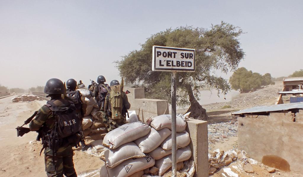 Soldater i Kamerun på vakt mot jihadistgruppen Boko Haram. (Foto: Edwin Kindzeka Moki/AP/TT /arkivbild)