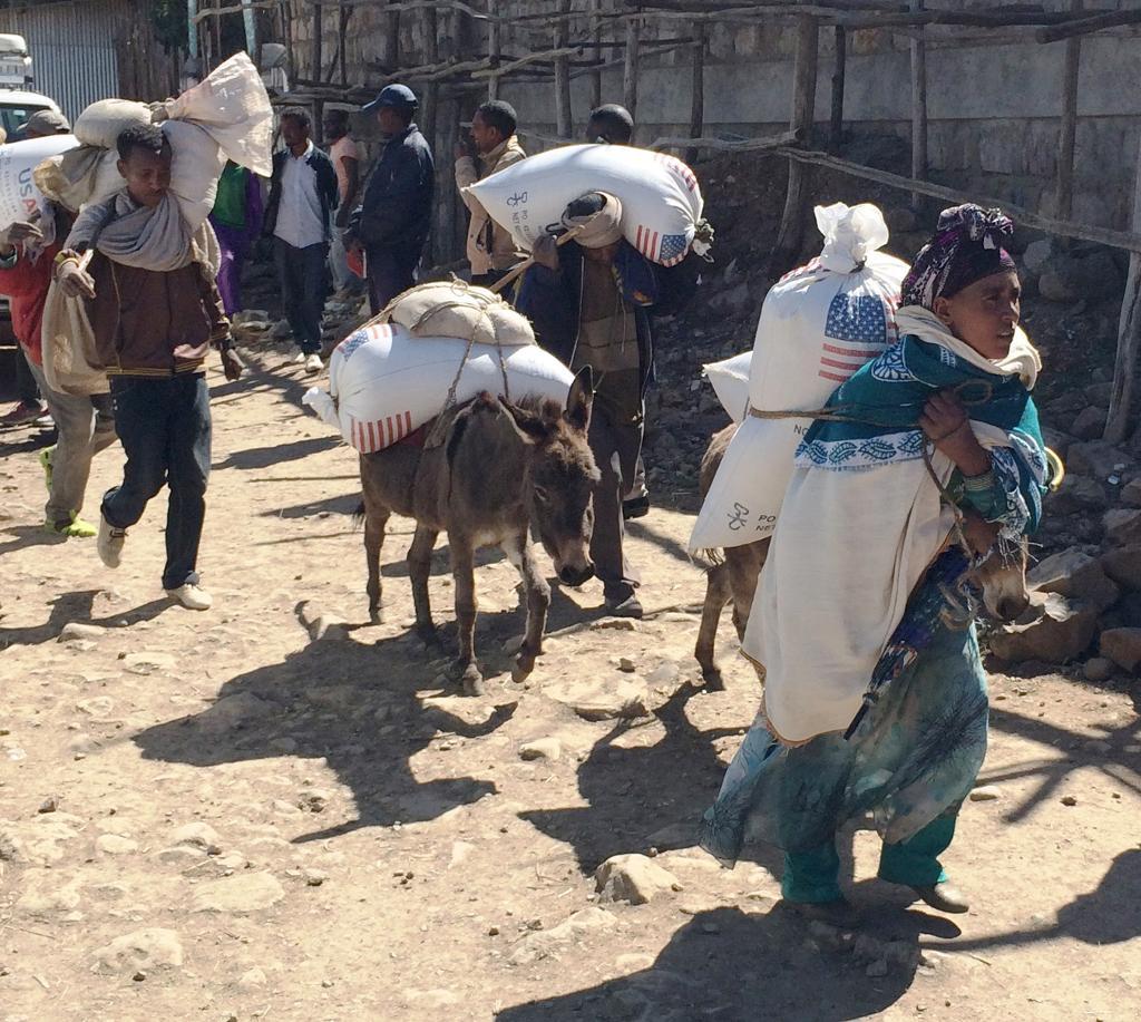 Människor i Amhararegionen vandrar hemåt, efter att ha hämtat livsmedel från USA vid ett hjälpcenter. FN varnar för att svälten i Etiopien kan bli lika förödande som den som drabbade landet på 1980-talet. (Foto: David R. Kahrmann/AP/TT-arkivbild)