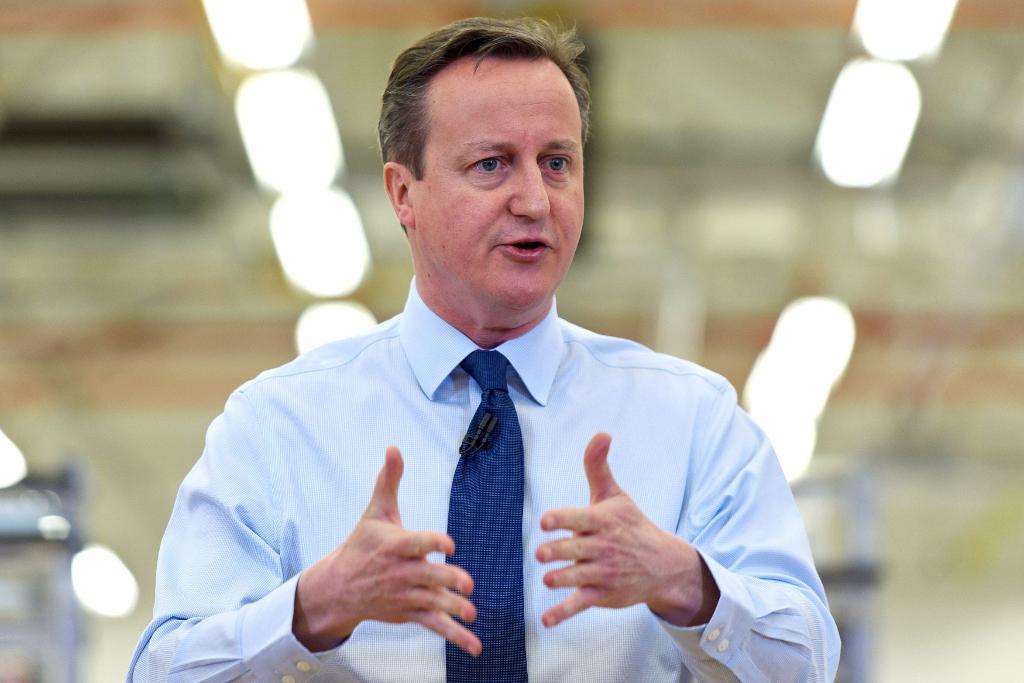 
Premiärminister David Cameron tycker att de presenterade villkoren för fortsatt EU-medlemskap är bra.(Foto: Ben Pruchnie /PA/AP/TT)
