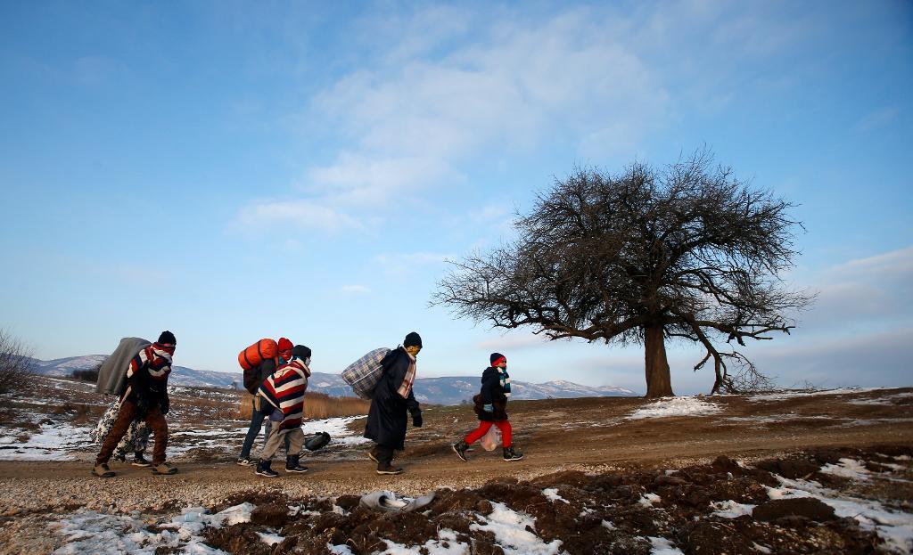 Konflikterna i Syrien, Irak och Afghanistan har drivit miljontals människor på flykt, här några av dem på väg från Makedonien över gränsen till Serbien i januari i år. (Foto: Darko Vojinovic/AP/TT-arkivbild)