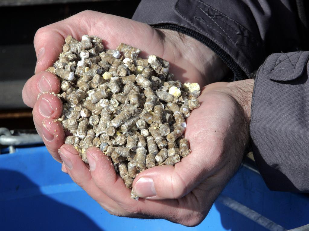 140 000 ton pellets per år ska importeras till Frankrike. (Foto: Tom Strattman /AP/TT)