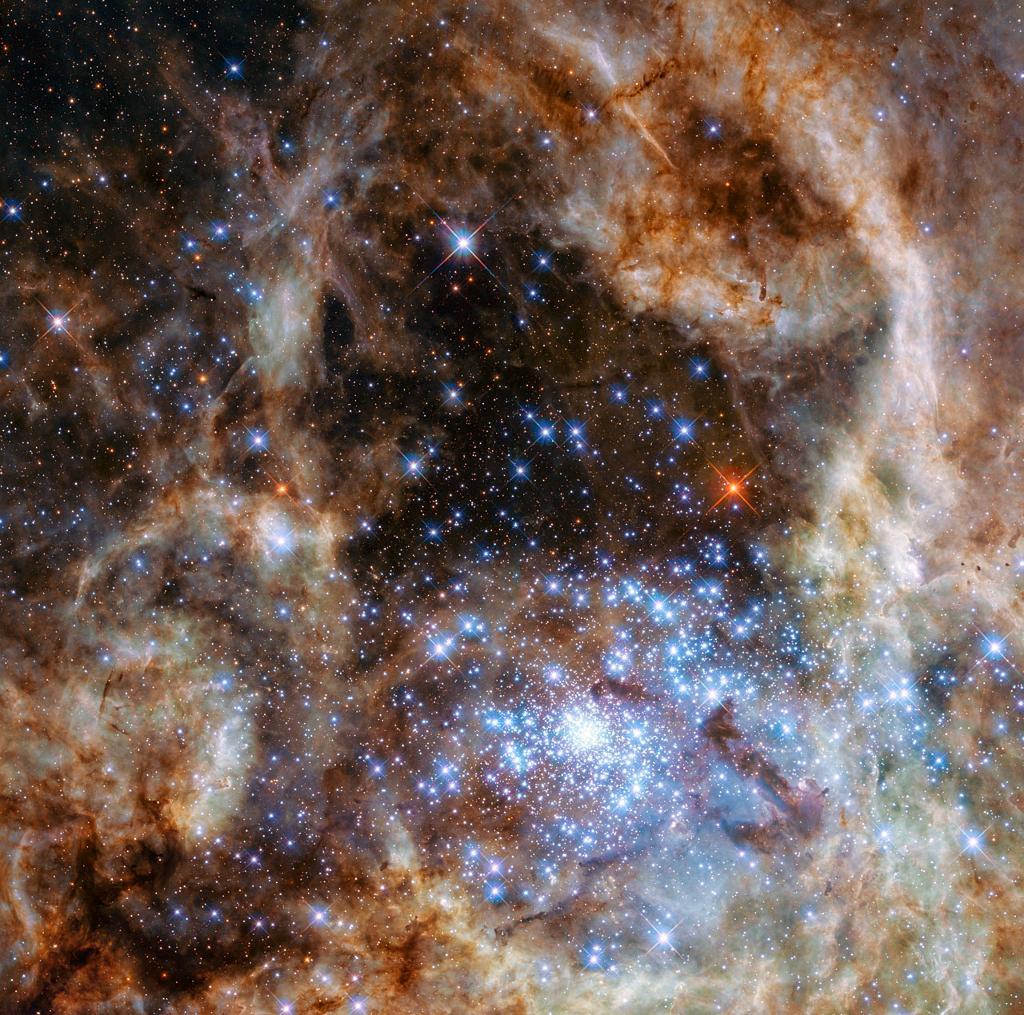 
I mitten av Tarantelnebulosan finns denna täta stjärnhop med lysande superstora jättestjärnor. Flera av dem väger flera hundra gånger vår egen sol. (Foto: Nasa/ESA /P Crowther /TT)