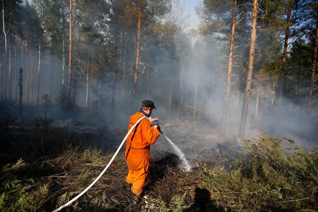 En utredning av räddningsarbetet i samband med den stora skogsbranden i Västmanland 2013 ligger till grund för en rapport från Myndigheten för samhällsskydd och beredskap som på torsdagen överlämnades till regeringen. (Foto: Fredrik Persson /TT-arkivbild)