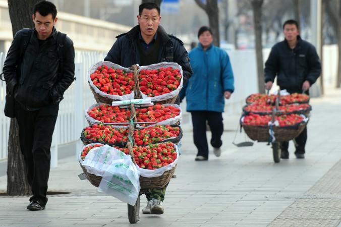 Bönder säljer jordgubbar från kärror på en gata i Peking den 2 februari 2010. (Foto: Frederic J. Brown /AFP/Getty Images)
