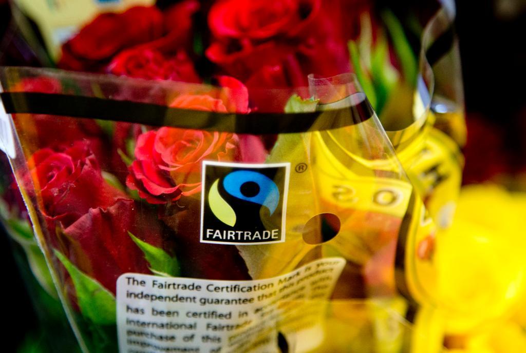 Försäljningen av Fairtrade-märkta varor ökade även 2015. Rosor är en av de stora produktgrupperna. (Foto: Adam Ihse /TT-arkivbild)