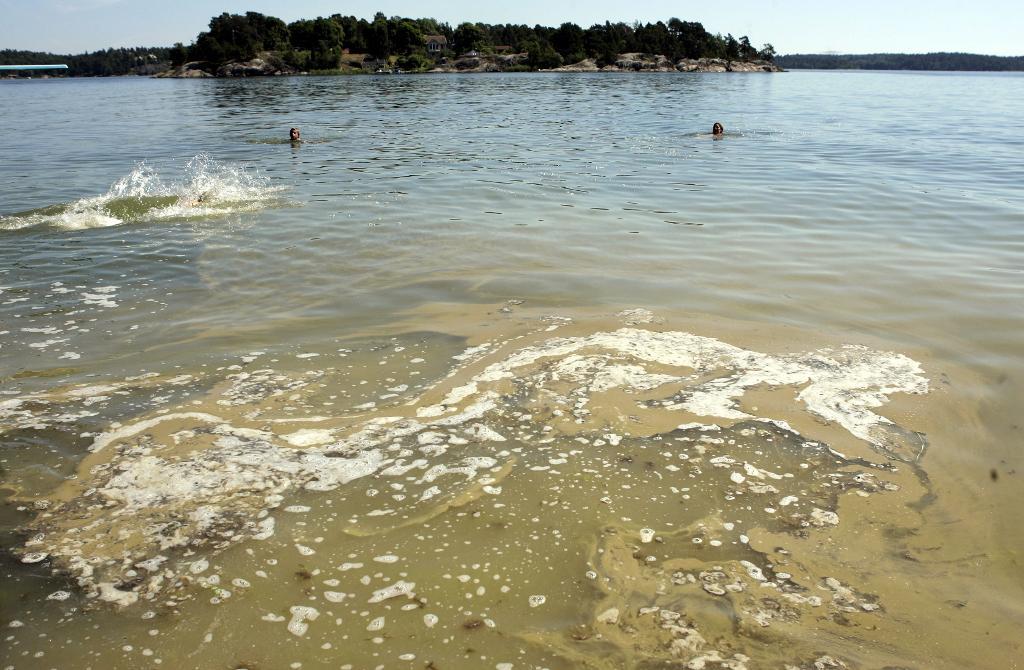 Miljösituationen i Östersjön är riktigt dålig - och inte tillräckligt har gjorts för att läget ska bli bättre, enligt en ny rapport från EU:s revisorer. (Foto: Maja Suslin / TT-arkivbild)