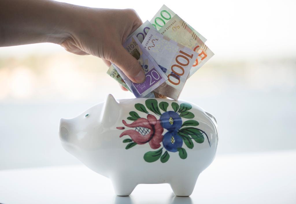 Sverige är ett av fyra EU-länder som inte hade något budgetunderskott förra året. (Foto: Fredrik Sandberg /TT-arkivbild)