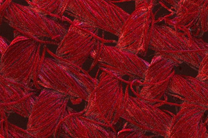 Den röda färgen indikerar att det finns nanopartiklar av silver på textilien. Partiklarna har kommit dit genom en process som skapats av forskare på Royal Melbourne Institute of Technology (RMIT University) i Australien. Bilden är förstorad 200 gånger. (Foto: RMIT University)