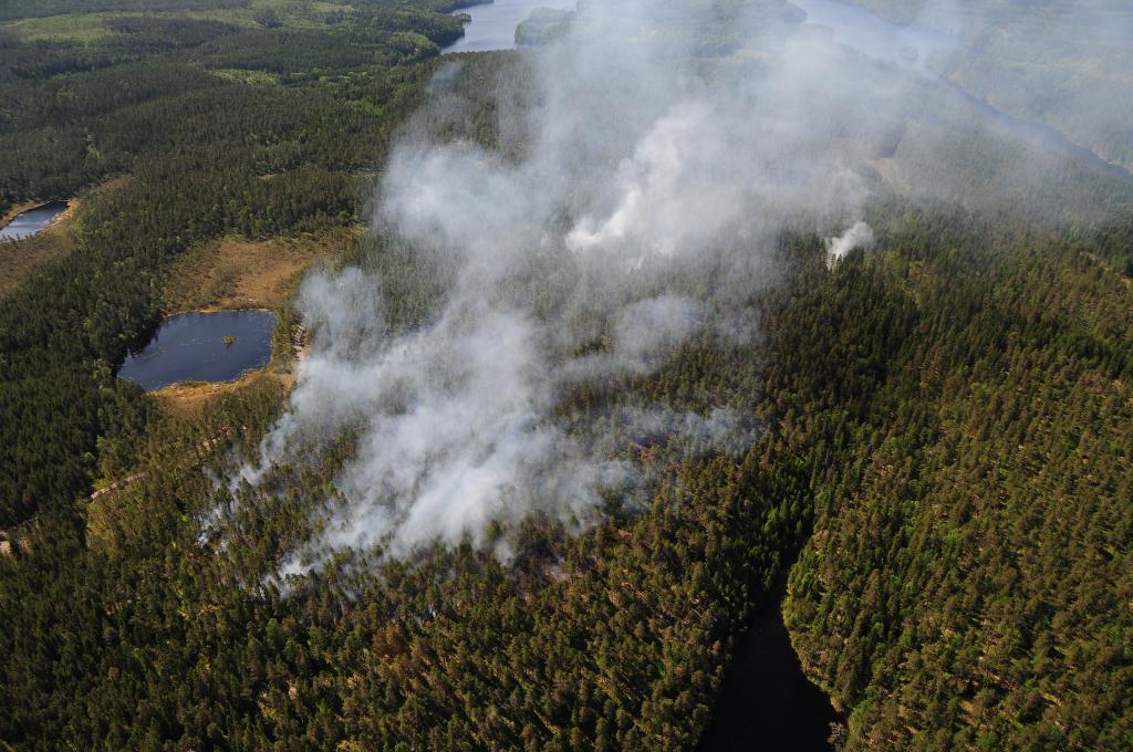 En stor skogsbrand bröt ut i Bengtsfors kommun under lördagen. Branden är nu under kontroll. (Foto: Räddningstjänsten Bengtsfors)