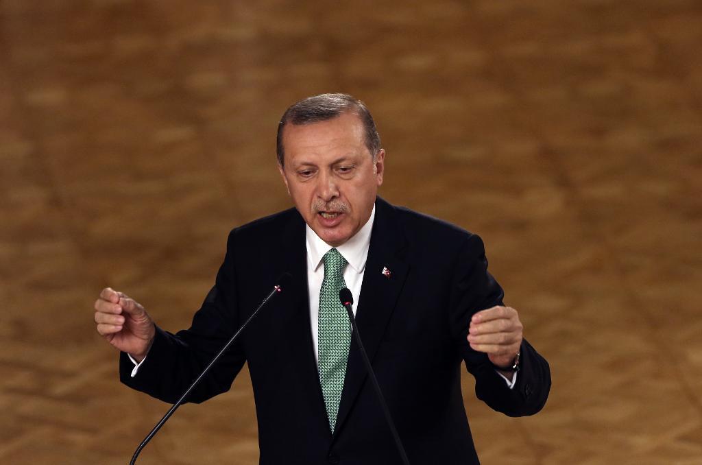 Turkiets president Recep Tayyip Erdogan. Arkivbild. (Foto: Burhan Ozbilici/AP/TT)
