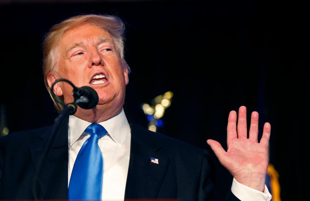 Donald Trump på ett kampanjmöte i New Hampshire. (Foto: Gerald Herbert /AP/TT)