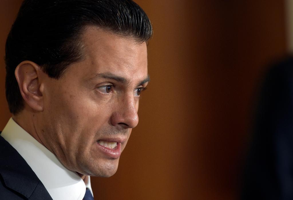 Enrique Peña Nieto. (Foto: Susan Walsh /AP/TT-arkivbild)