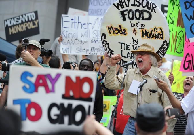 Protest mot jordbruksjätten Monsanto i Los Angeles, 2013. (Foto: Robyn Beck/AFP/Getty Images)