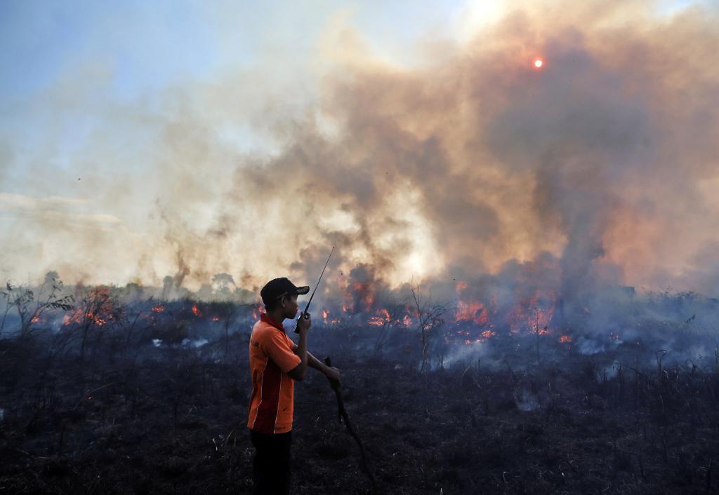 En brandman pratar i sin walkie talkie under bekämpningen av en torvbrand på södra Sumatra i juli i fjol. 2015 års bränder var de värsta på länge. (Foto: AP/TT)