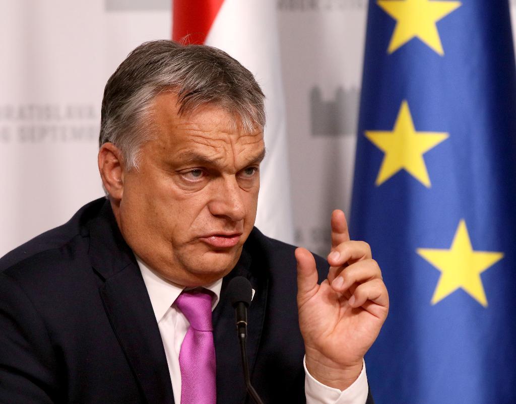 Ungerns premiärminister Viktor Orbán. (Foto: Ronald Zak/AP/TT-arkivbild)