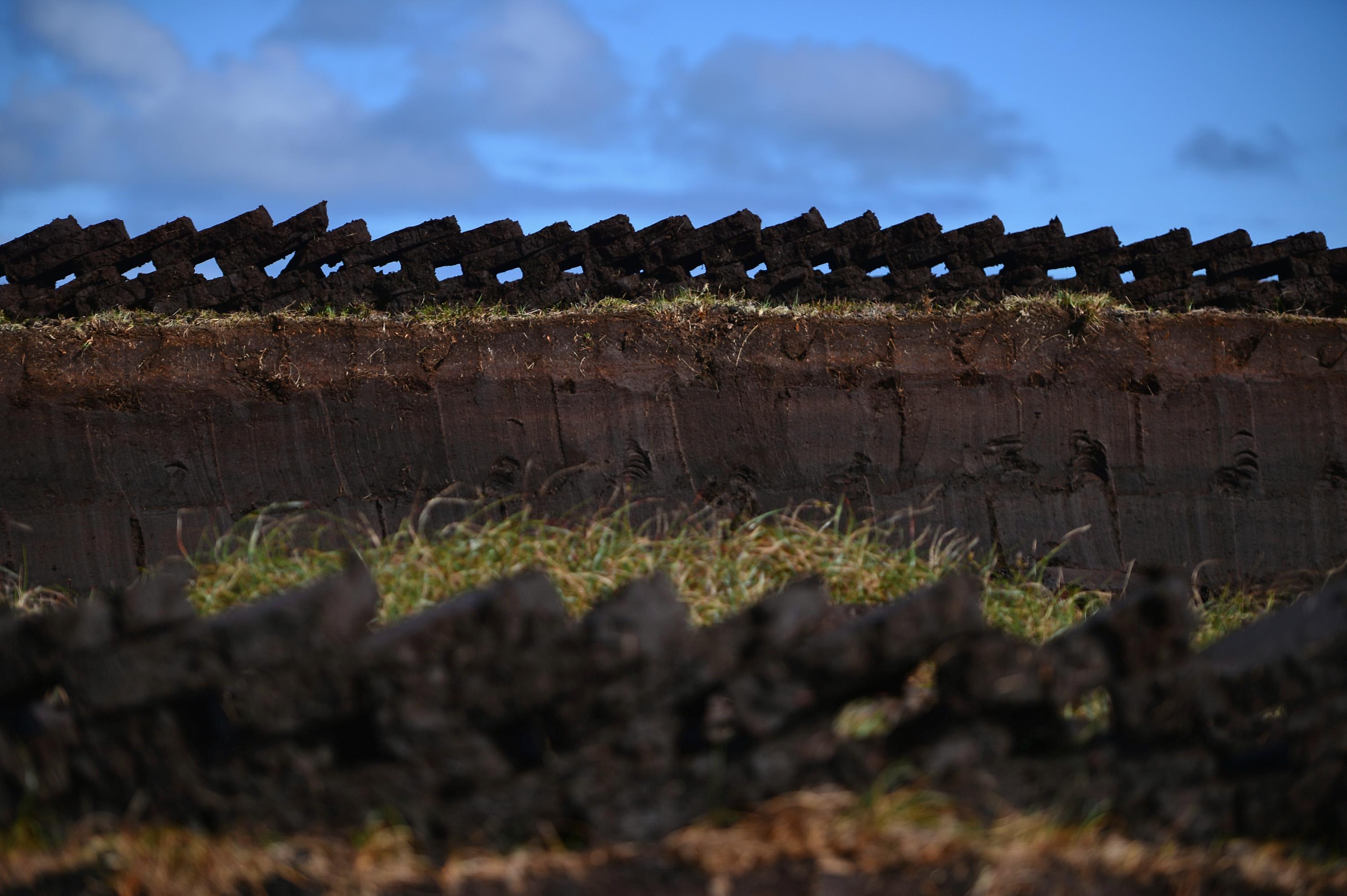 Torvutvinning i Skottland. Den svenska torvindustrin står nu inför ett existentiellt hot – helt i onödan – menar debattörer. (Foto: Jeff J Mitchell/Getty Images)