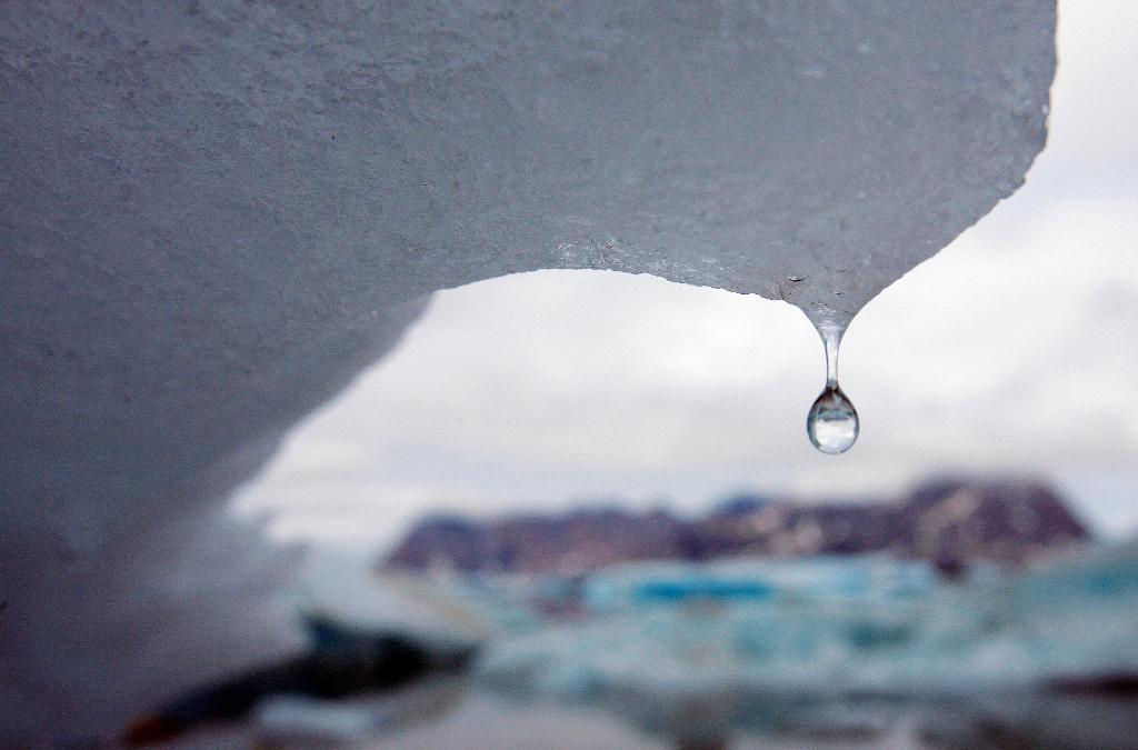 Smältande isberg på Grönland. Arkivbild. (Foto: John McConnico/ AP/TT)