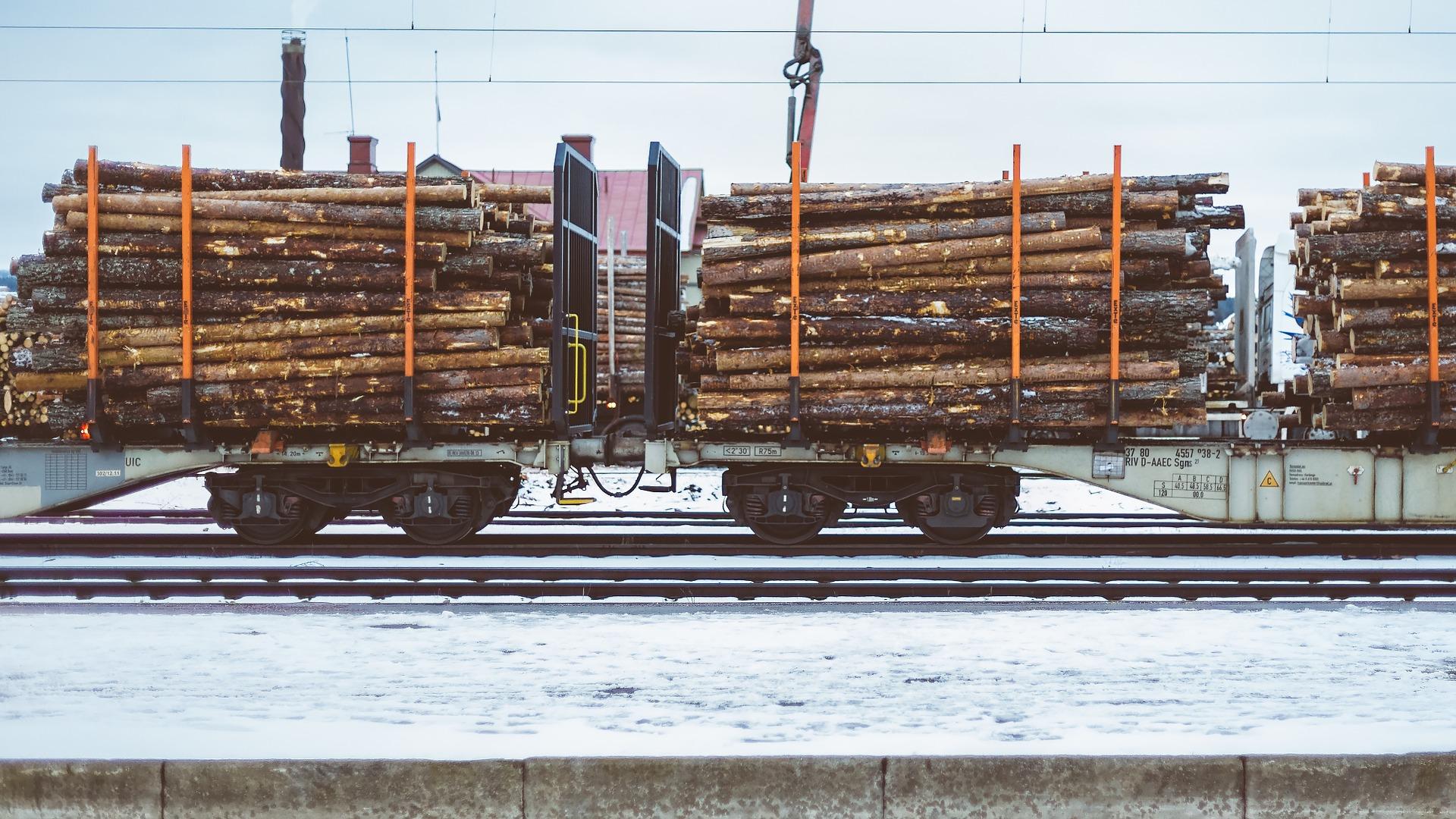 Att frakta timmer via tåg är inte ett självklart alternativ i skogsbruket. (Foto: Pixabay)