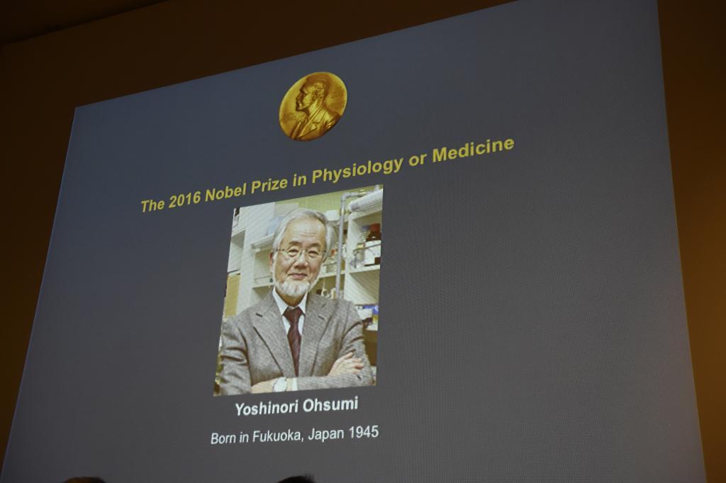 Professor Yoshinori Ohsumi tilldelas årets Nobelpris i medicin. (Foto: Stina Stjernkvist)