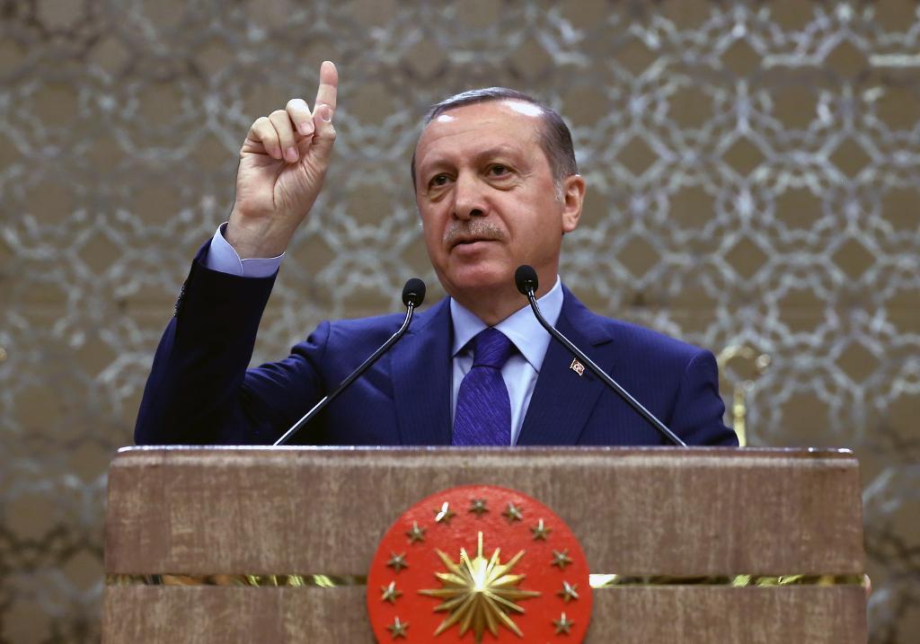 
Turkiets president kan snart få mer makt. (Foto: Yasin Bulbul/AP/TT-arkivbild)