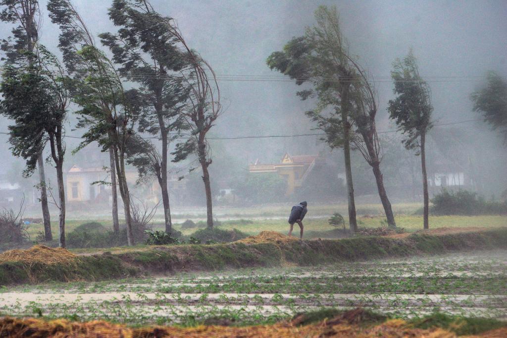 Vietnam drabbas regelbundet av förödande oväder. (Foto: Richard Vogel/AP/TT)