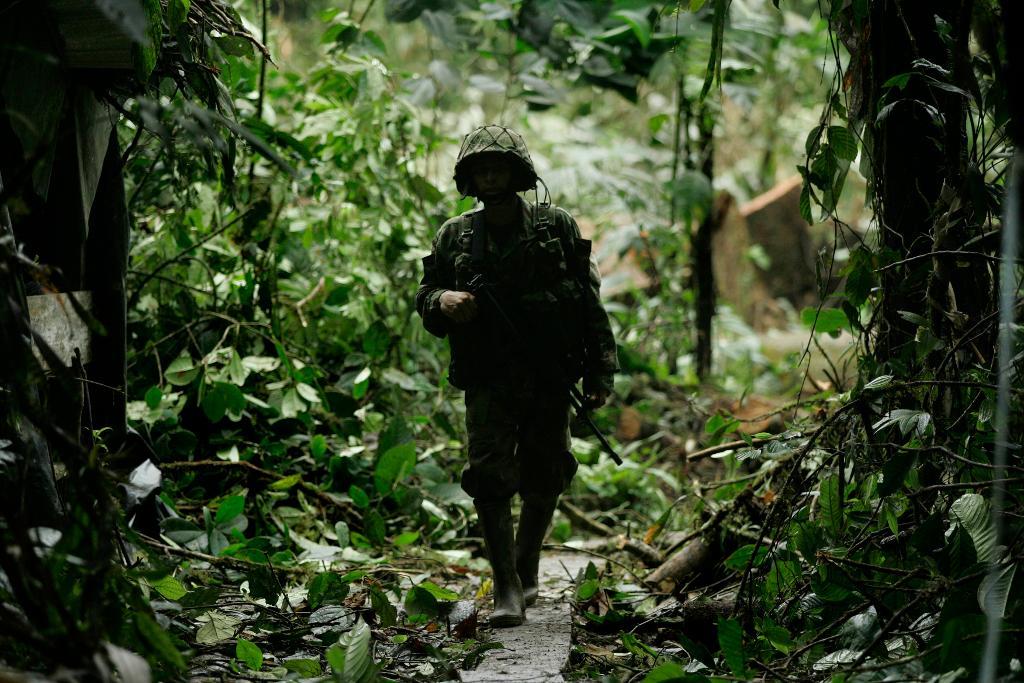 
Colombiansk militär uppger att en ELN-rebell har dödats och fyra andra har tillfångatagits i ett tillslag. (Foto: Christian Escobar Mora/AP/TT)