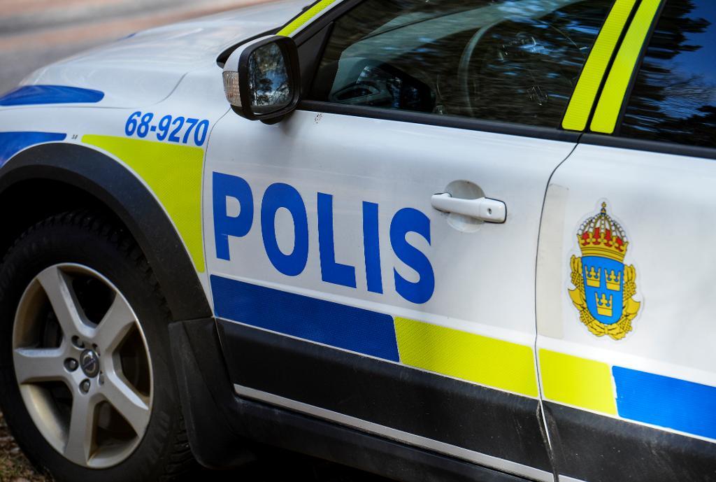 Bilen hade dubbla larmsystem vilket gjorde att polisen efter viss dramatik kunde gripa biltjuvarna i Karlskronas hamn, 15 mil från bilstölden. Arkivbild. (Foto: Johan Nilsson/TT)