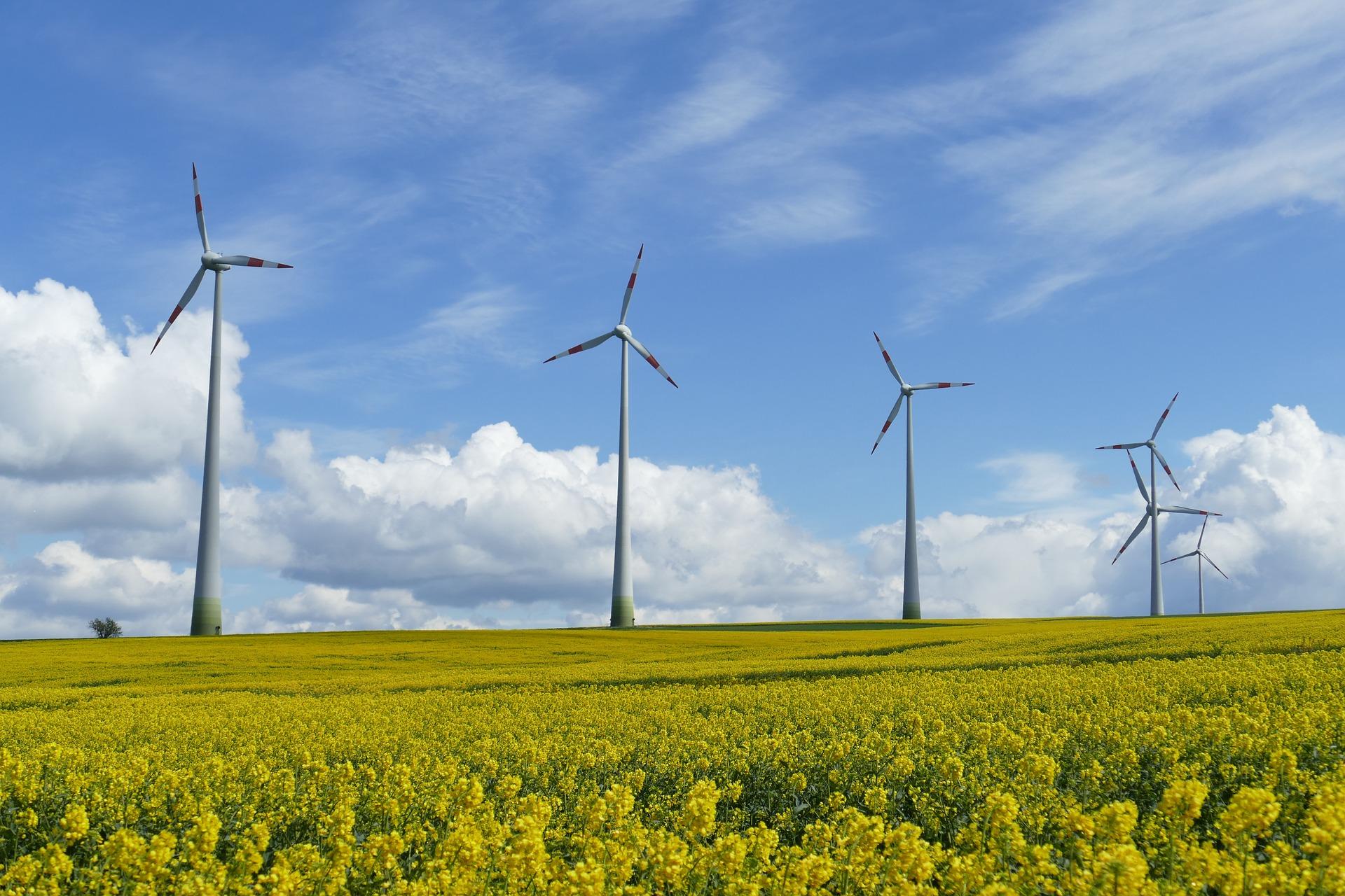 Vindkraften blir viktigare när Parisavtalet ska uppfyllas. (BIld: Pixabay)