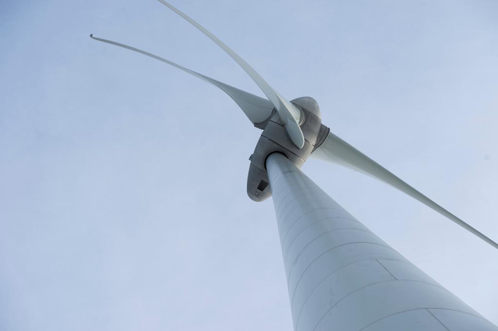 Vattenfall har vunnit upphandlingen om en vindkraftspark i Danmark. (Foto: Fredrik Sandberg/ TT)