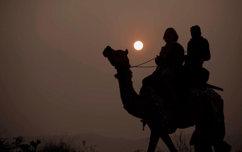 Sidenvägen - ursprungligen en karavanväg för kameler som var fullastade med värdefullt gods. (Foto: Ajit Solanki /TT-arkivbild)
