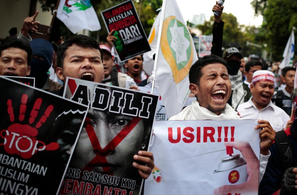Demonstration i Indonesiens huvudstad Jakarta mot Burma och Aung San Suu Kyi. I flera länder protesteras det mot förföljelserna av den muslimska minoriteten rohingya.
(Foto: Dita Alangkara/AP/TT)