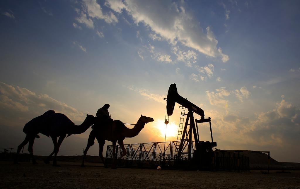Opec-länderna ser ut att ha svårt att enas om hur oljeproduktionen ska se ut framöver. (Foto: Hasan Jamali-arkivbild)