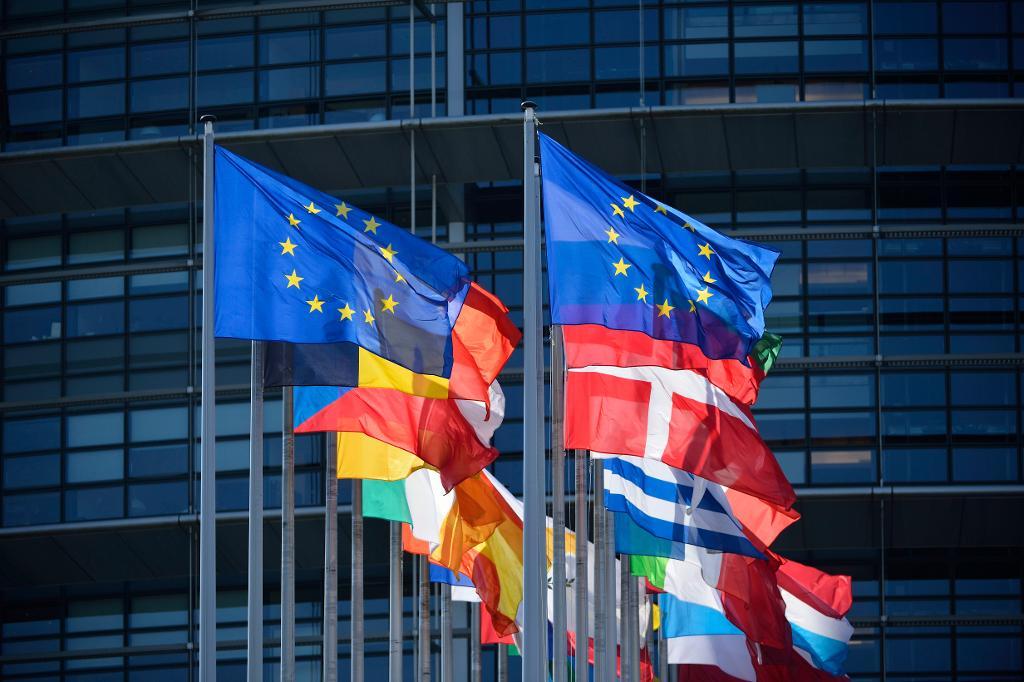 Det blåser motvind för EU i många medlemsländer. En knapp majoritet tycker att unionen är bra för det egna landet. Arkivbild. (Foto: Henrik Montgomery/ TT)