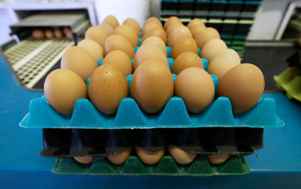Bristvara. Fågelinfluensautbrottet i Sydkorea har lett till minskad tillgång, och därmed högre pris, på ägg. (Foto: Charlie Neibergall/AP/TT-arkivbild)