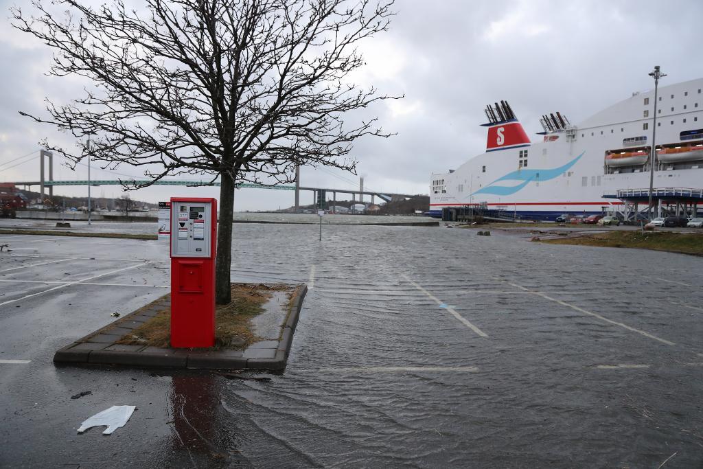 Vattenståndet vid Tysklandsterminalen i Göteborg och svämmade över hela kajen och parkeringen när stormen Urd närmade sig.
(Adam Ihse/TT)

