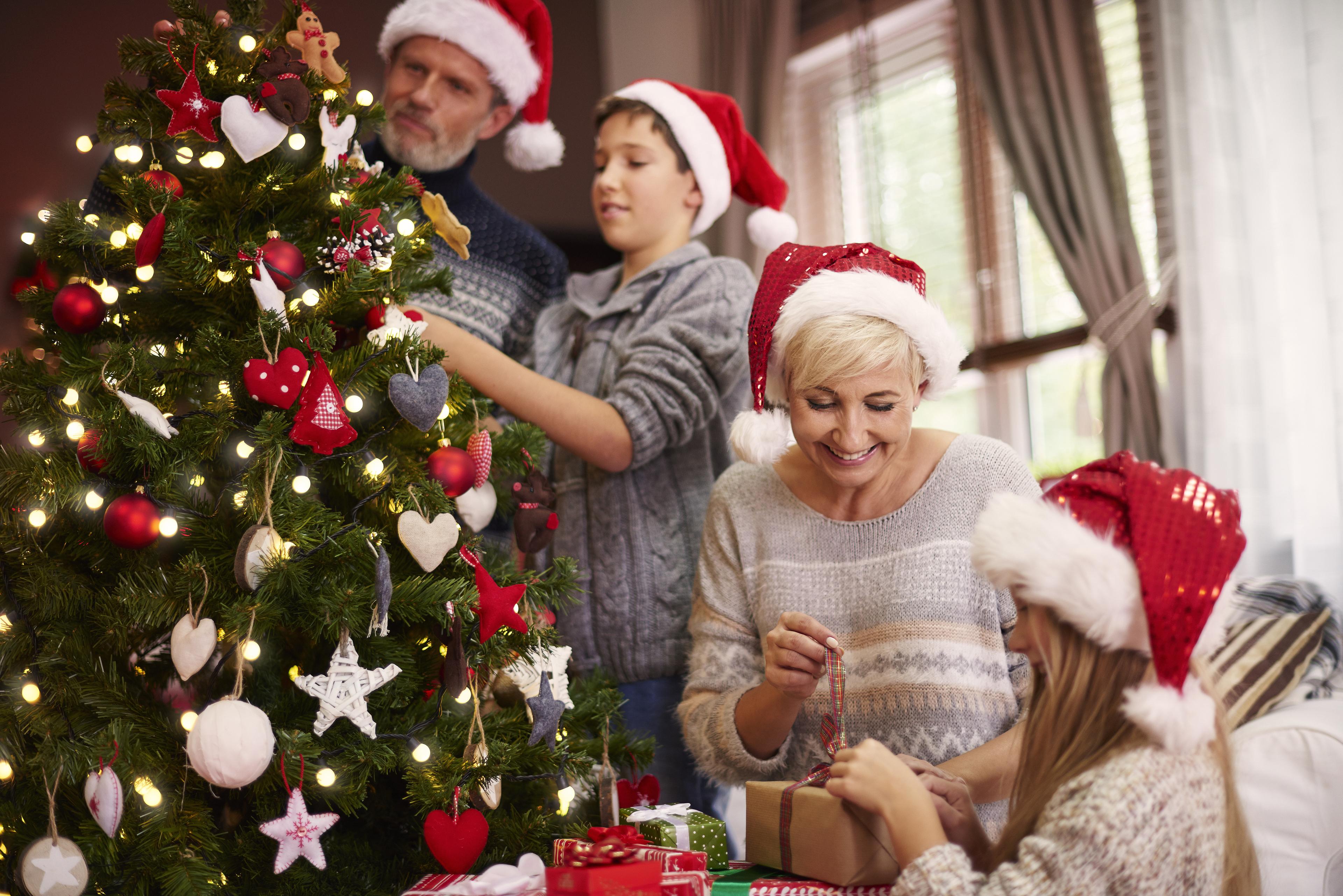
Om du har gäster över julen kan du be var och en att bidra med en anrättning till julbordet. (Foto: stock.adobe.com)                                            