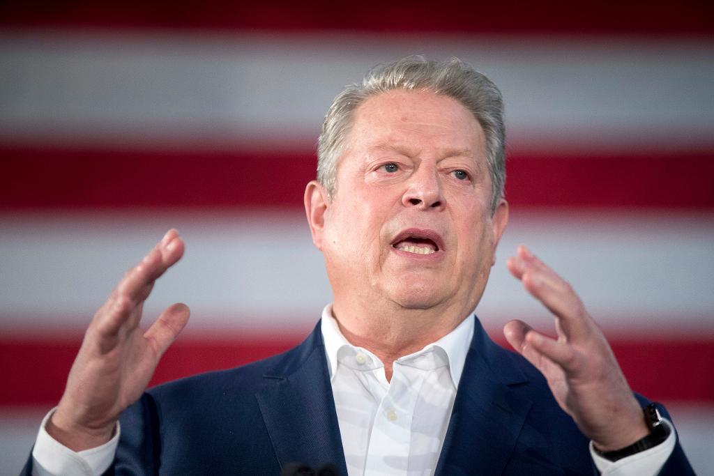 Al Gore. Arkivbild. (Foto: Andrew Harnik/AP/TT)