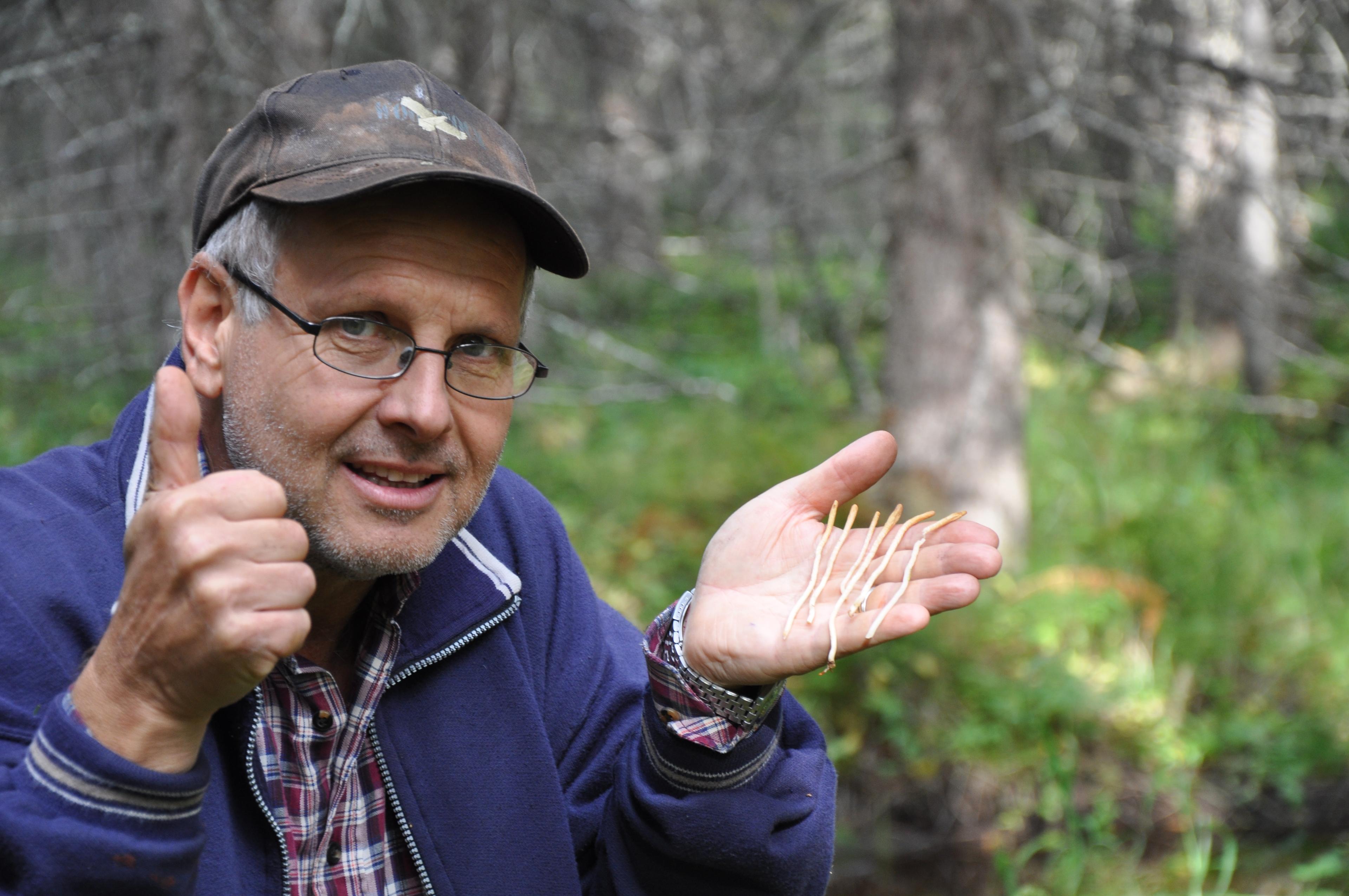 Utrotningshotade djur och växter hjälper oss att skydda skogar. Här är Mats Karström med liten klubbdyna, som endast är funnen på ett fåtal platser i hela världen. (Foto: Björn Mildh)