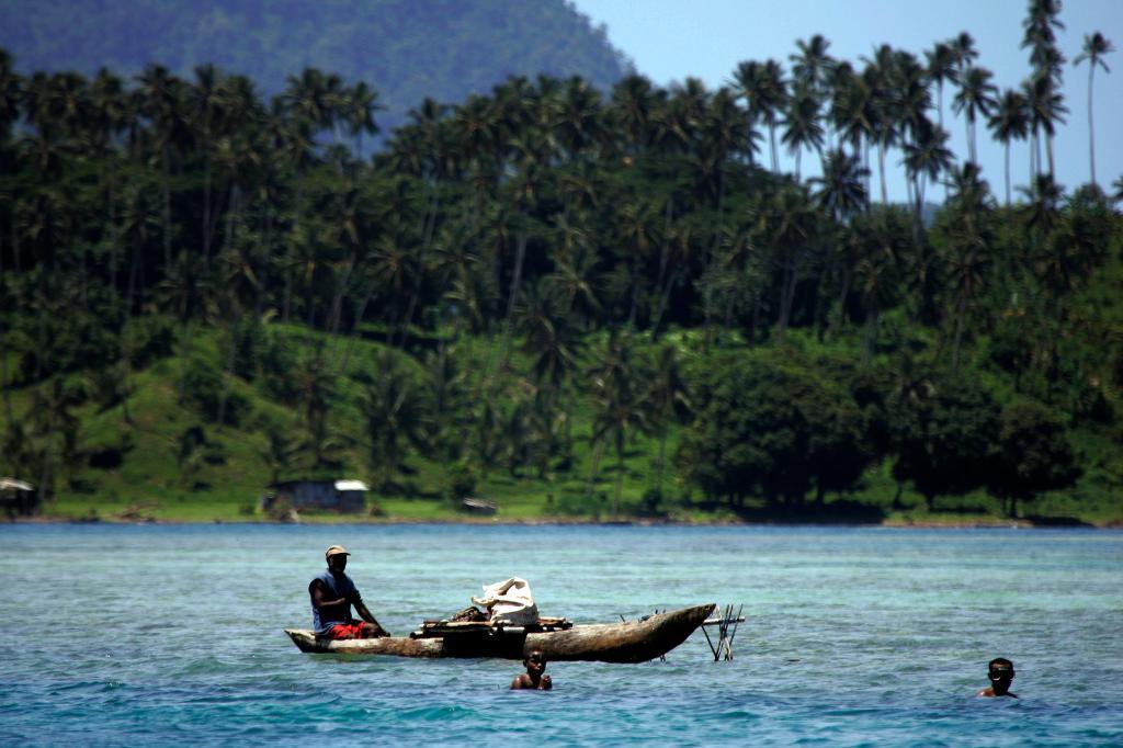 Kustboende i Papua Nya Guineas östliga öar är utsatta för både höjda vattennivåer, vulkanutbrott och jordskalv. Arkivbild från ön New Britain.(Foto: David Longstreath/AP)