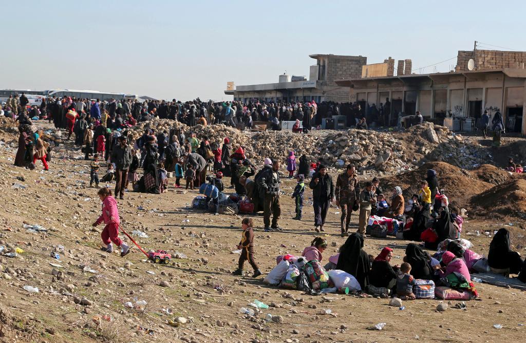 Människor som flytt striderna mellan irakiska styrkor och terrorrörelsen IS samlas för att kunna bli placerade i flyktingläger utanför Mosul.
(Khalid Mohammed/AP/TT)
