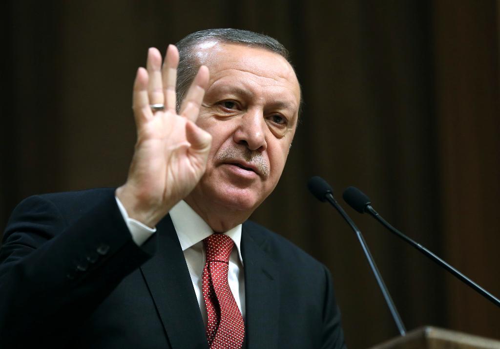 Turkiets president Recep Tayyip Erdogan. (Foto: Murat Cetinmuhurdar/AP/TT)
