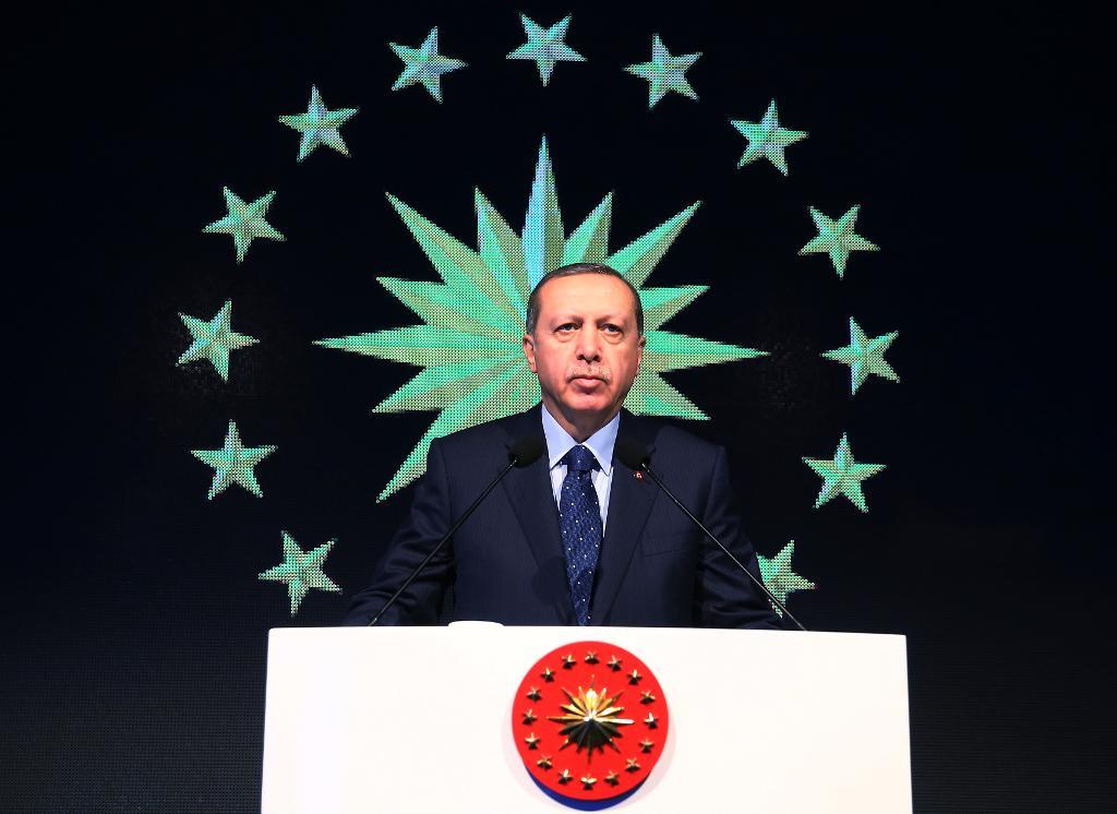 Förslaget till en ny grundlag i Turkiet innebär att president Recep Tayyip Erdogans makt kraftigt stärks. (Foto: Kayhan Ozer/AP/TT)