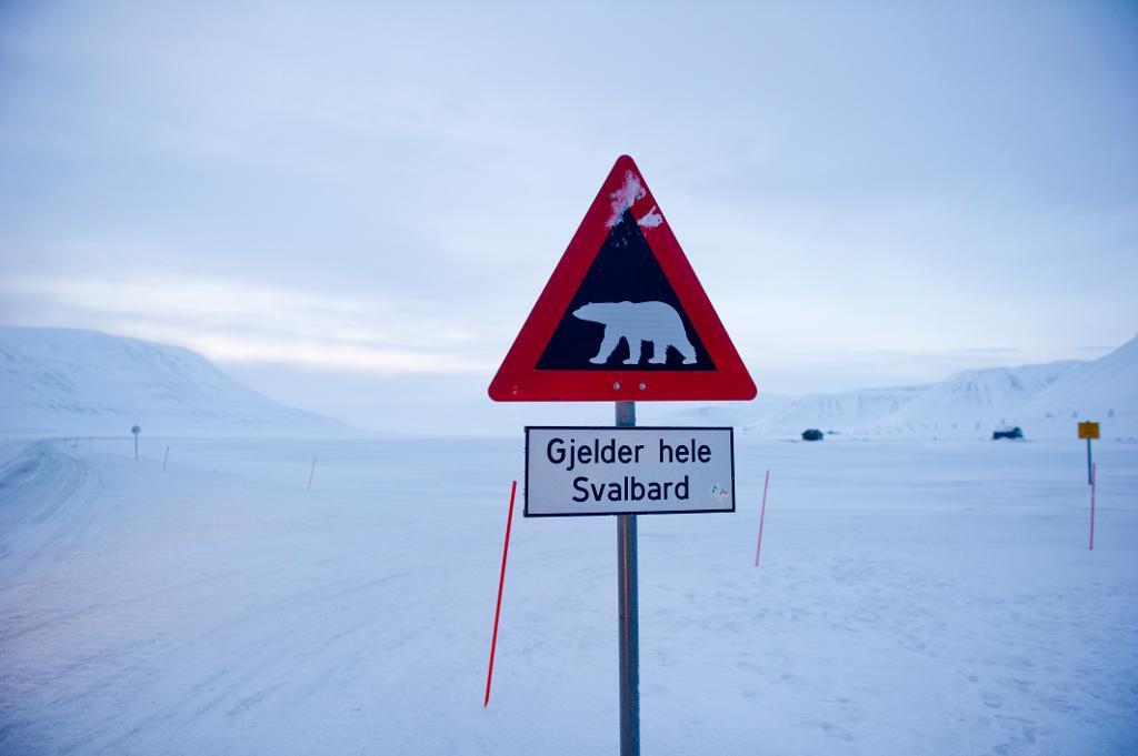 Isbjörnsvarning på Svalbard. (Foto: Jon Olav Nesvold/AP/TT-arkivbild)