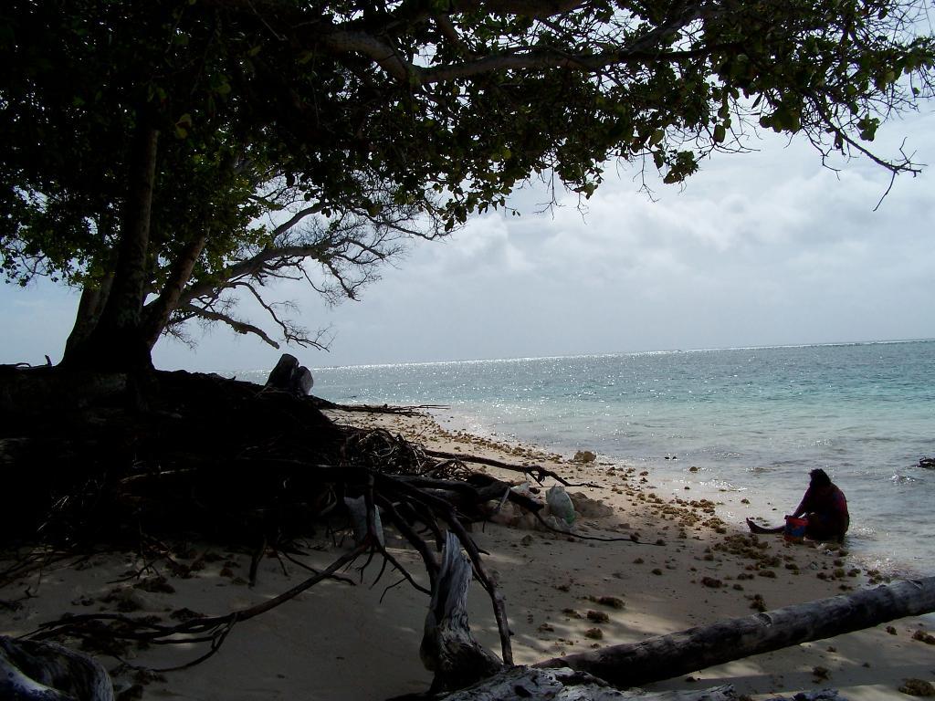 Majuro, en av Marshallöarnas atoller. (Foto: Rusty Middleton,arkivbild)
